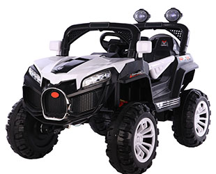 RECHARGEABLE CAR W/ RC