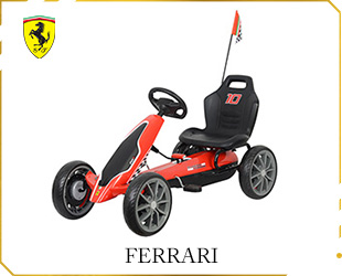 GO CAR,FERRARI LICENSE