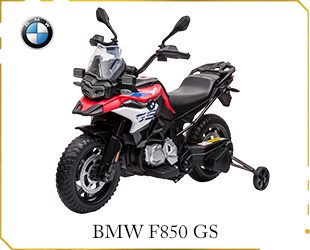 LICENSE BMW F850 GS 