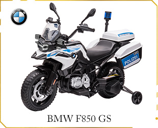 LICENSE BMW F850 GS 