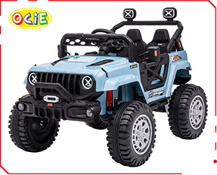 RECHARGEABLE CAR W R/C