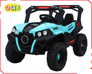 RECHARGEABLE UTV