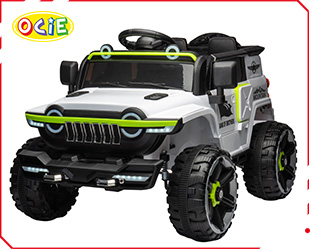 RECHARGEABLE UTV