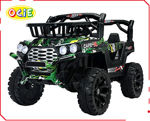 RECHARGEABLE UTV