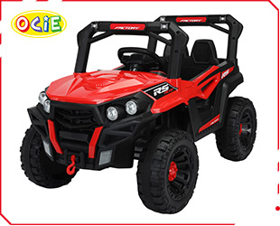 RECHARGEABLE UTV