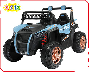 RECHARGEABLE CAR R/C