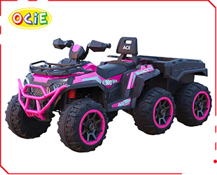 RECHARGEABLE ATV