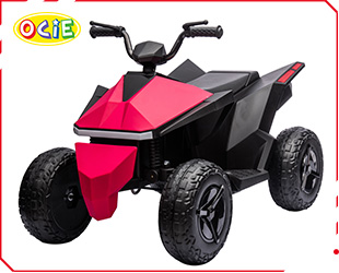 RECHARGEABLE ATV