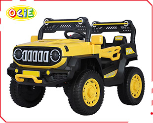 RECHARGEABLE CAR R/C