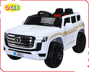 RECHARGEABLE CAR R/C