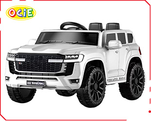 RECHARGEABLE CAR R/C