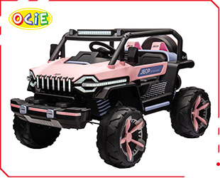 RECHARGEABLE CAR W/ RC