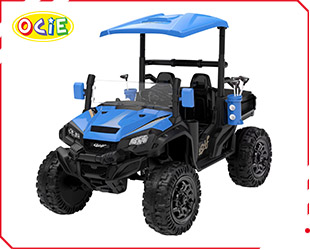 RECHARGEABLE UTV W/ RC