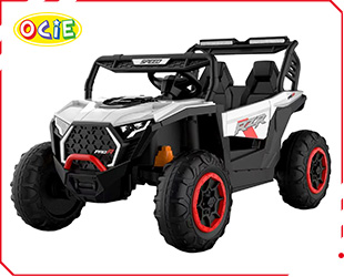 RECHARGEABLE CAR W/ RC