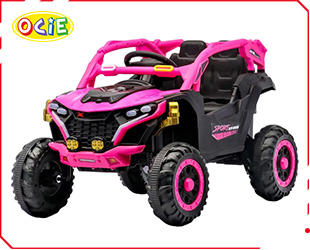 RECHARGEABLE CAR W/ RC