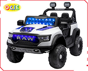 RECHARGEABLE CAR W /RC