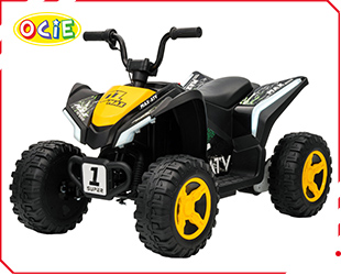 RECHARGEABLE CAR W/ RC