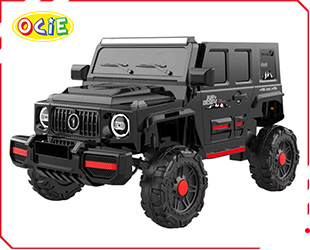 RECHARGEABLE CAR W/ RC