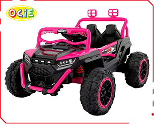 RECHARGEABLE CAR W/ RC