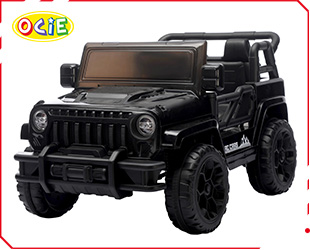 RECHARGEABLE CAR W/ RC