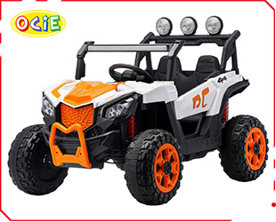 RECHARGEABLE CAR W/ RC