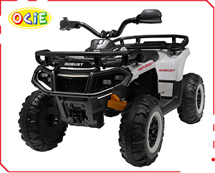 RECHARGEABLE CAR W/ RC