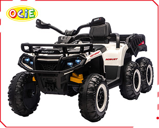 RECHARGEABLE CAR W/ RC