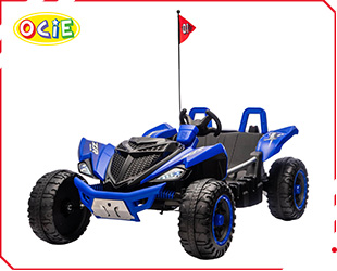 RECHARGEABLE CAR W/ RC