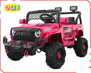 RECHARGEABLE CAR W/ RC