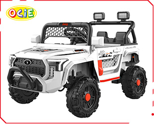 RECHARGEABLE CAR W/ RC