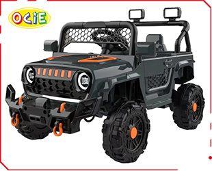 RECHARGEABLE CAR W/ RC