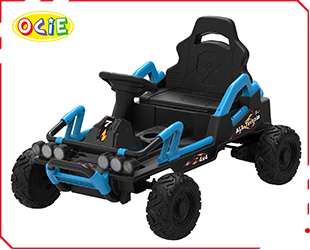 RECHARGEABLE CAR W/RC