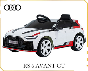 RECHARGEABLE CAR LICENSE R/C