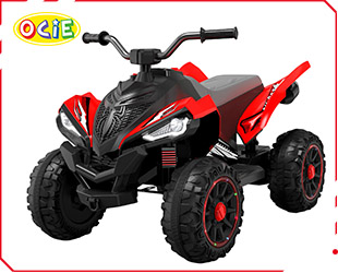 RECHARGEABLE CAR W/ RC