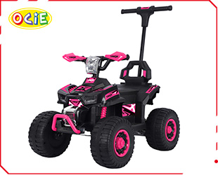RECHARGEABLE ATV