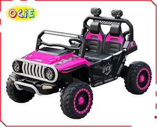 RECHARGEABLE CAR W/ RC