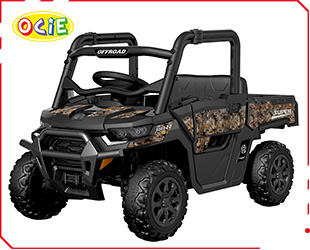 RECHARGEABLE UTV W/ RC