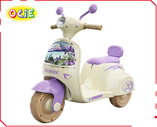 RECHARGEABLE MOTORCYCLE 