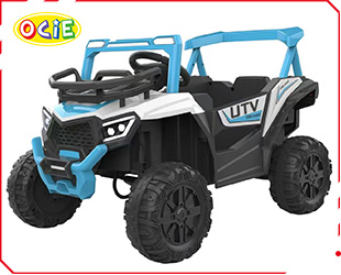 RECHARGEABLE CAR W/ RC