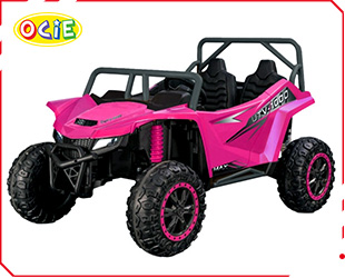 RECHARGEABLE UTV ARCTIC CAR LICENSE