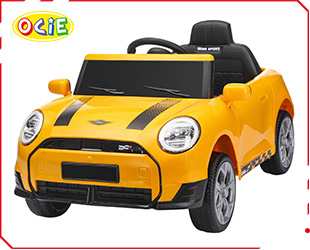 RECHARGEABLE CAR W/ RC