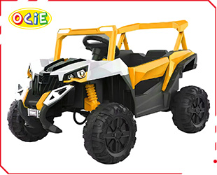 RECHARGEABLE CAR W/ RC