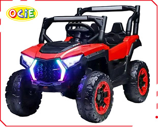 RECHARGEABLE CAR W/ RC