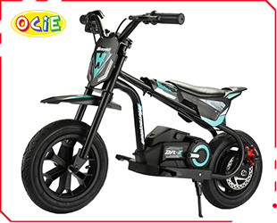 ELECTRIC DRIFTING BIKE