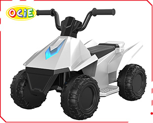 RECHARGEABLE ATV