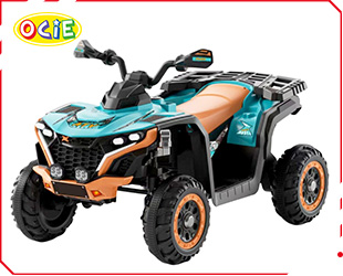 RECHARGEABLE ATV