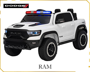 RECHARGEABLE CAR LICENSE