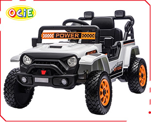 RECHARGEABLE CAR W/ RC