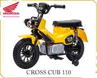RECHARGEABLE MOTORCYCLE HONDA LICENSE