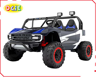 RECHARGEABLE CAR W/ RC